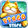 Bingo Beach